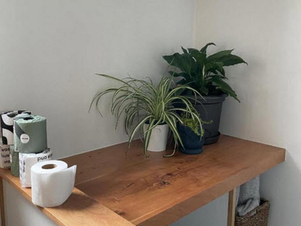 The Tiny Nest Hotel Palmerston North Bagian luar foto